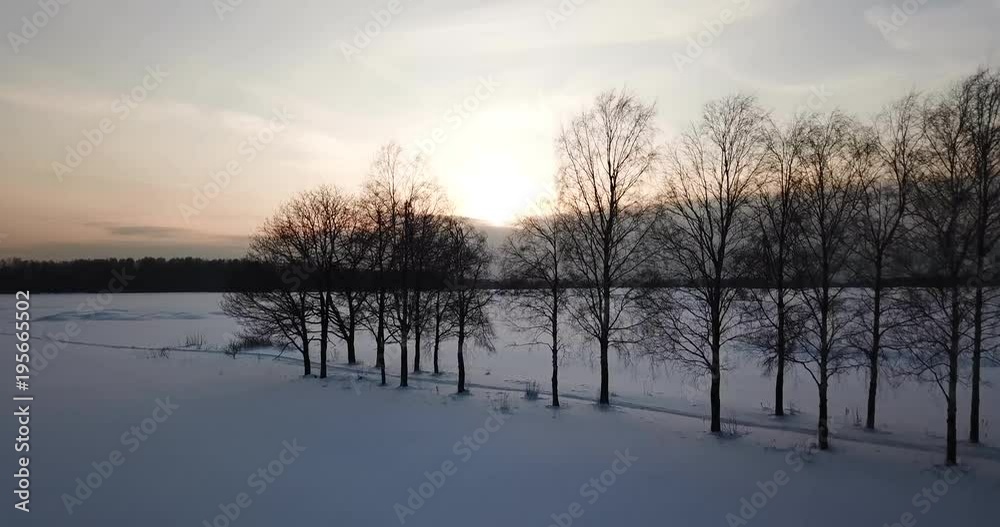 flight over the winter field with paths along the snow laid by people and trees in the middle of the field
flight over the winter field with paths along the snow laid by people and trees in the middle of the field