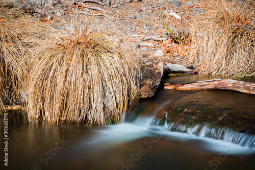 Wet Beaver Creek in Arizona © jon manjeot