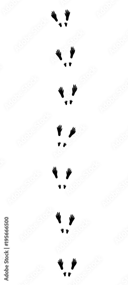 Pin on MŠ 2024 in 2024 Kindergarten, Nap, Montessori