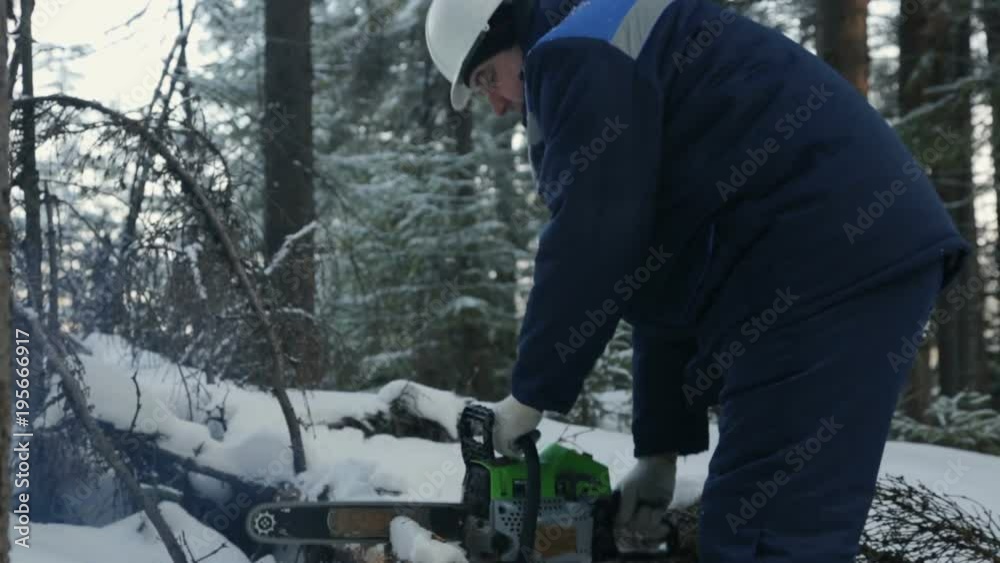 Worker sawing with chainsaw in winter forest Worker sawing with chainsaw in winter forest