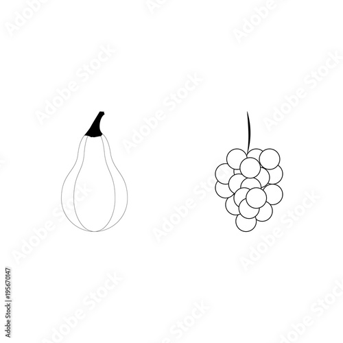 icon Fruits And Vegetables with melon, vitamins, vintage vine, citrus fruit and calabash