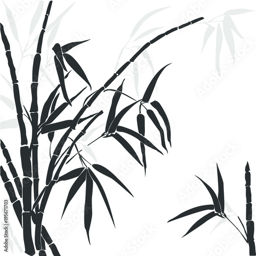 Fototapeta Naklejka Na Ścianę i Meble -  Vector silhouette of bamboo. Silhouette bamboo gray colors isolated on white.