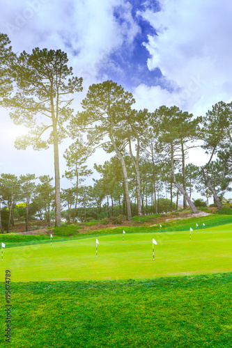 a fragment golf course with flagsticks at holes in the pine forest