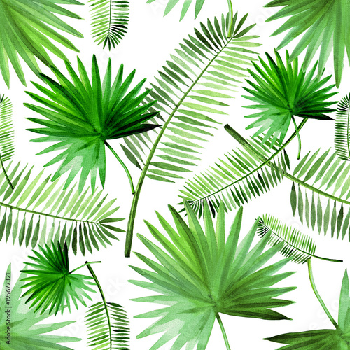 Tropical green palm leaf pattern set watercolor illustrated