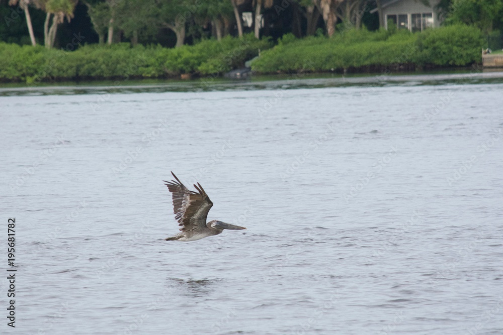Fototapeta premium Headed home after a day at the 
