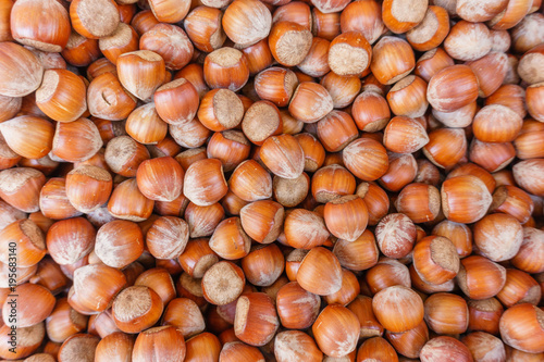 lots of hazelnut nuts, walnut natural background photo