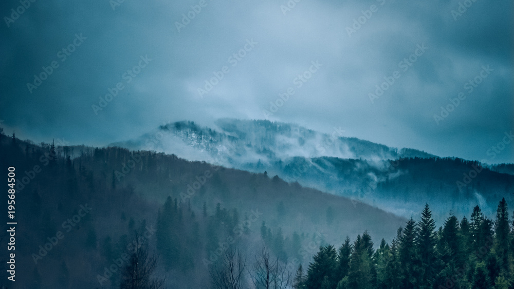 winter forest nature landscape in fog weather time