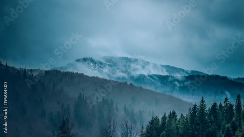 Fototapeta Naklejka Na Ścianę i Meble -  winter forest nature landscape in fog weather time
