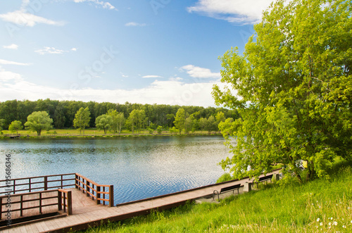 benches on the shore of a pond on summer day
