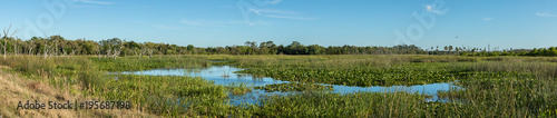 wetlands on a sunny day panorama