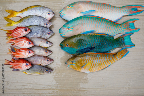 Parrot fish, Yellowtail fusilier, Moses perch lay on wooden floor