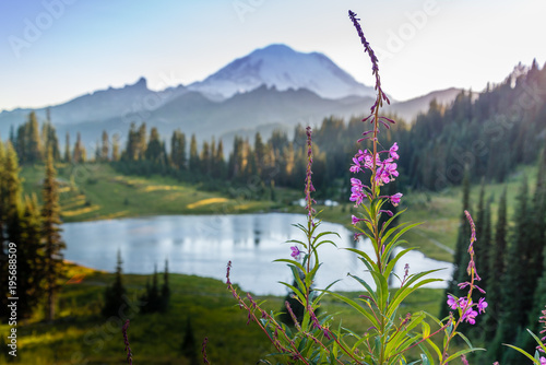 Tipsoo Lake