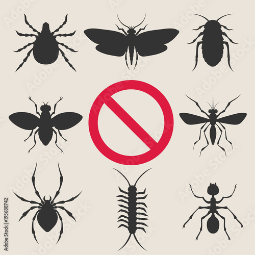 Home insect pests