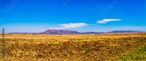 Panorama of the Endless wide open landscape of the semi desert Karoo Region in Free State and Eastern Cape provinces in South Africa under blue sky