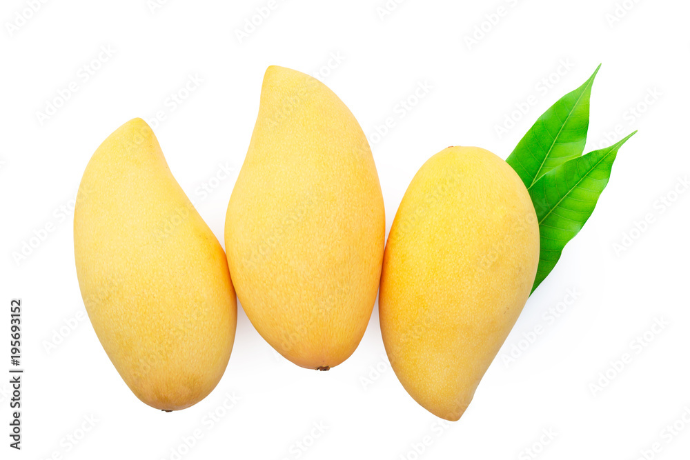 mangoes with leaf isolated on white