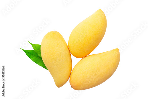 mangoes with leaf isolated on white