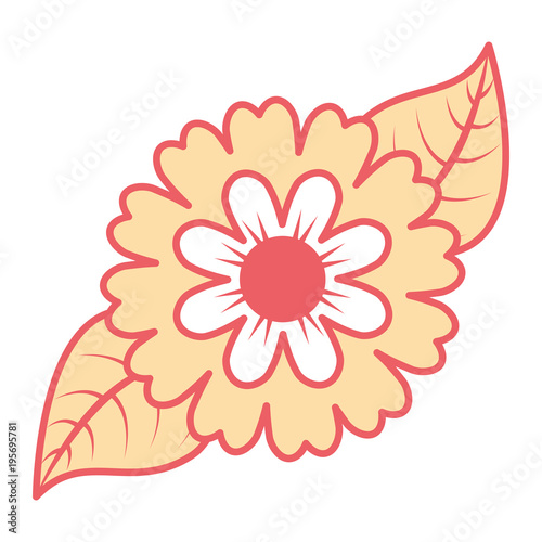 flower petals leaves nature decoration vector illustration