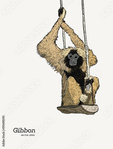 Gibbon monkey sketch vector graphic  drawing.