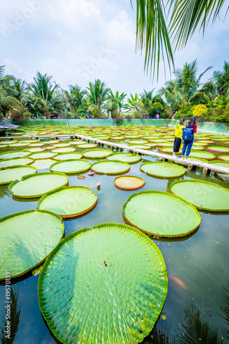 Quadro em tela Vietnam