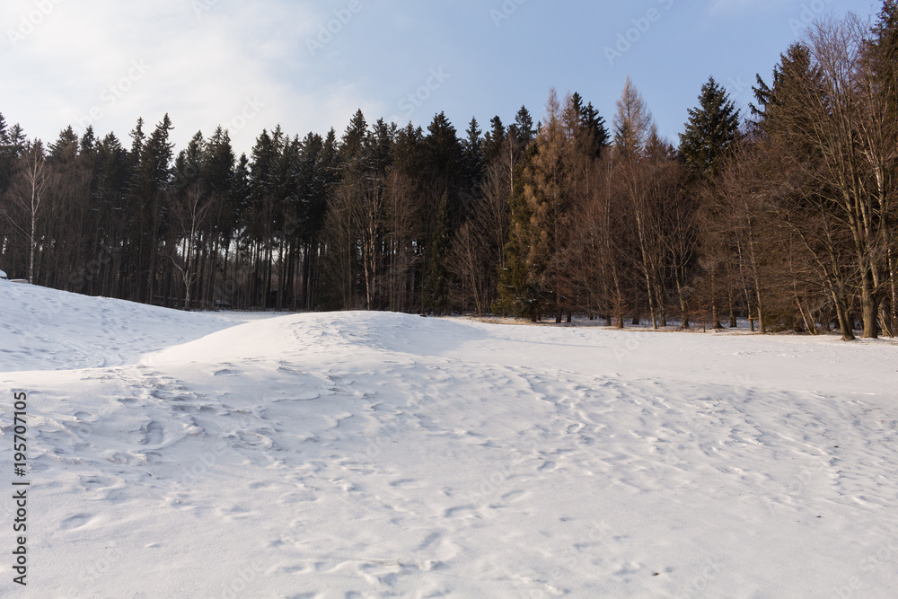 Fir trees covered with snow on a winter mountain Fir trees covered with snow on a winter mountain