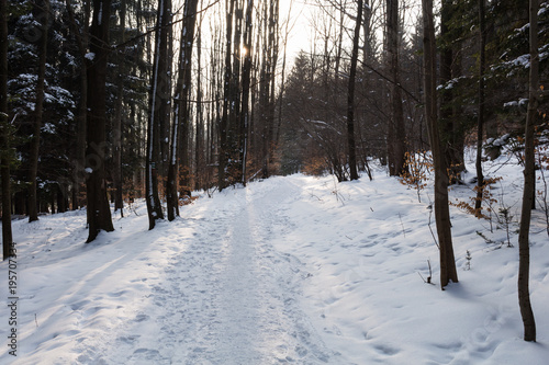 Photo of snowy landscape with blue sky and road in winter