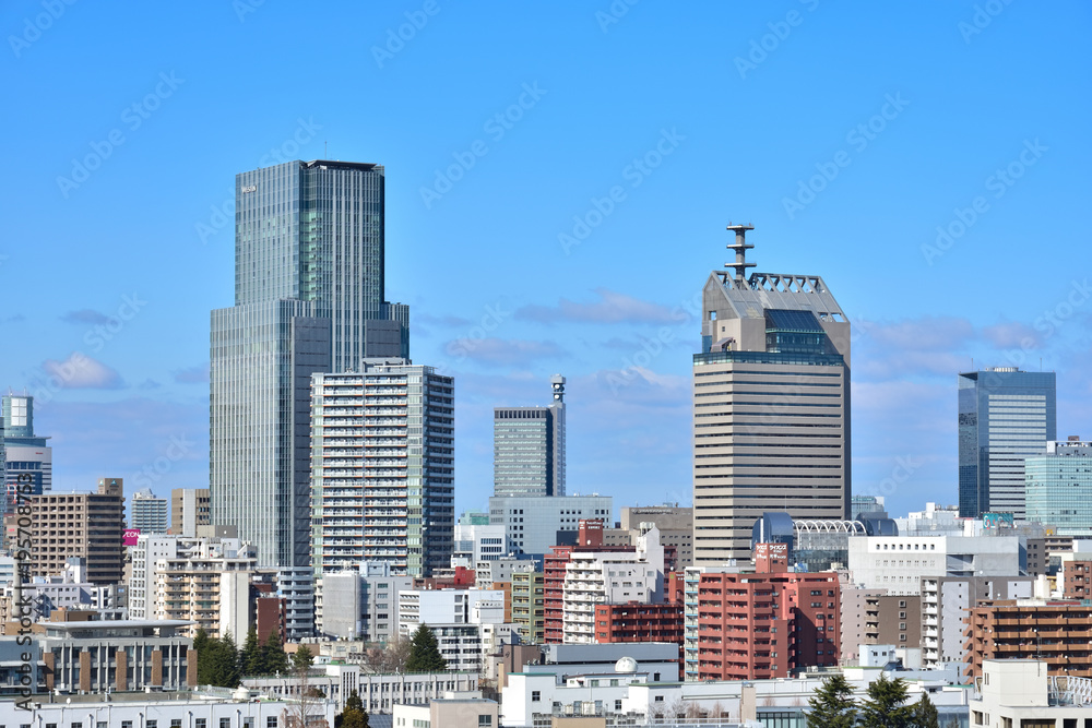 Fototapeta premium 仙台市遠望 仙台市愛宕橋付近より北方を望む 