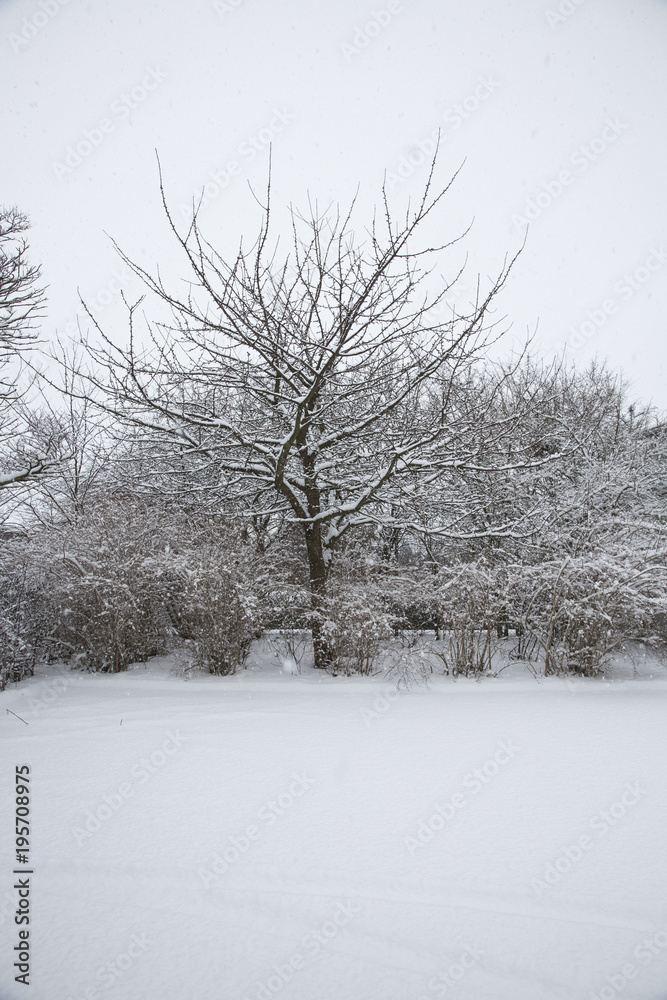 Fototapeta premium Winter images from Malmö Skåne Sweden