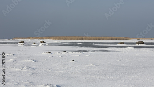 Winter images from Malmö Skåne Sweden photo