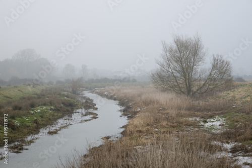 Wallpaper Mural Cold misty Winter landscape over stream in English countryside Torontodigital.ca