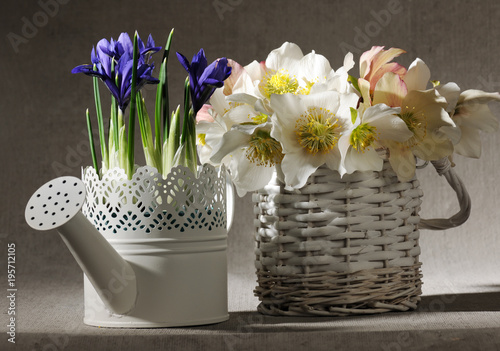 Fototapeta Naklejka Na Ścianę i Meble -  spring flowers