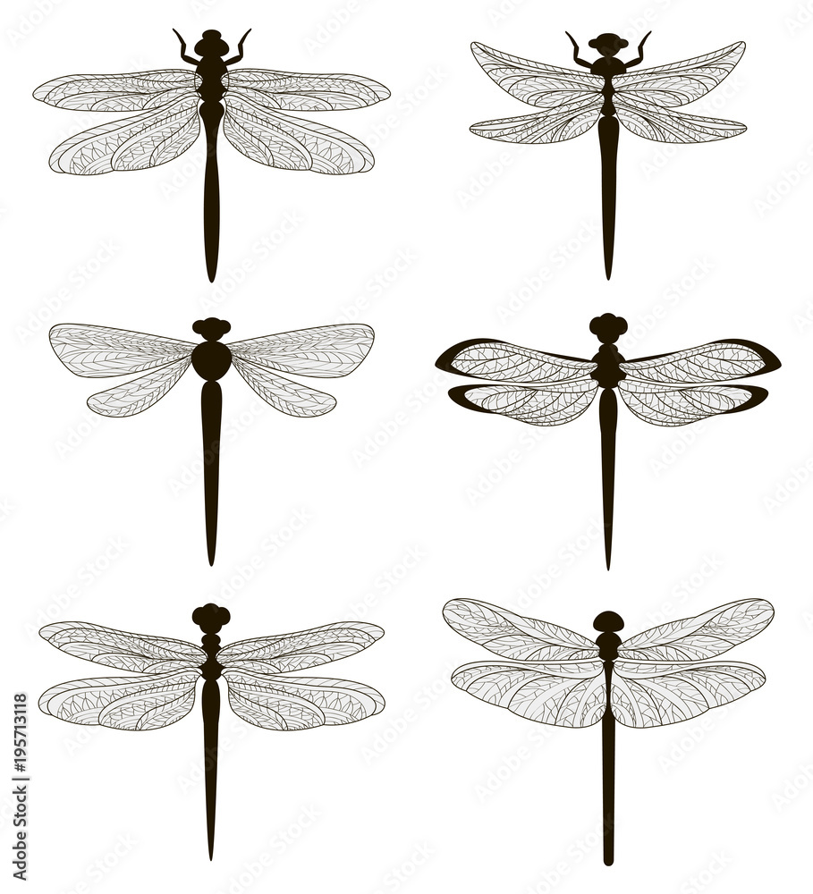 Set of silhouettes of dragonflies