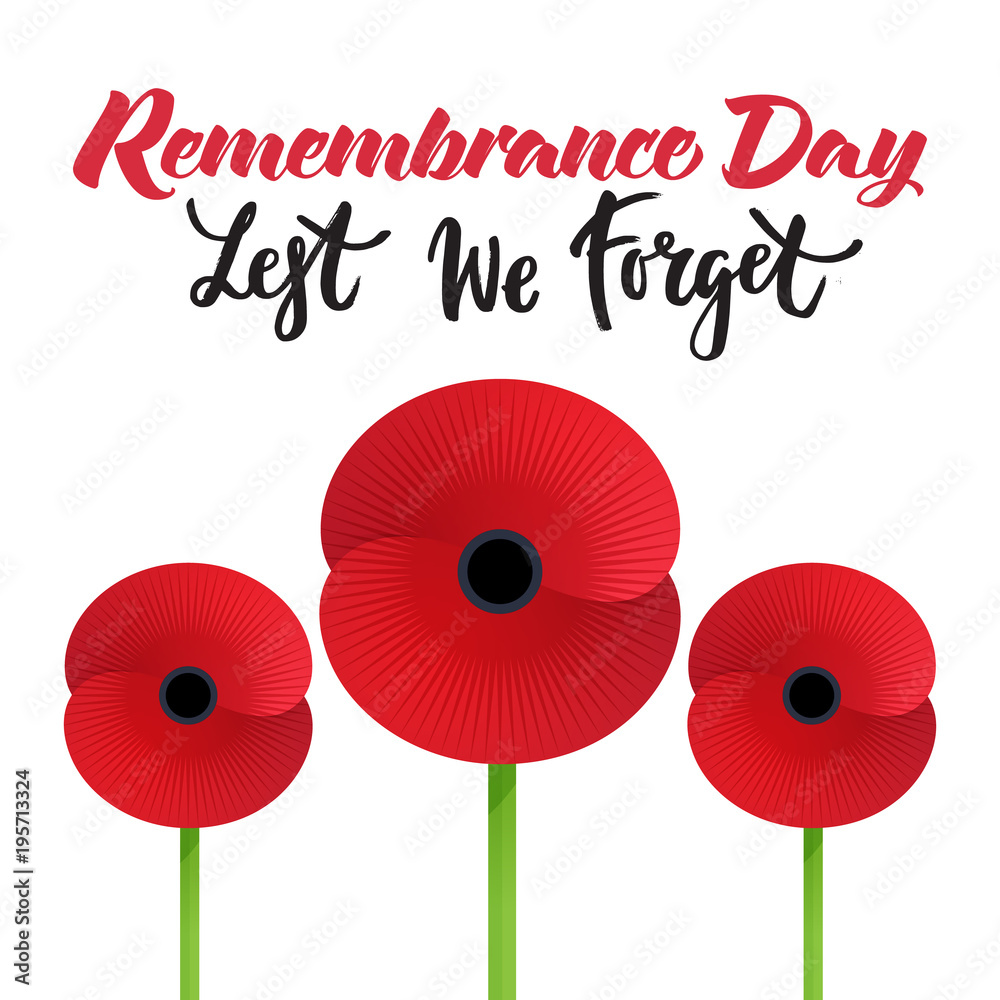 Vector illustration of a bright poppy flower. Remembrance day symbol ...