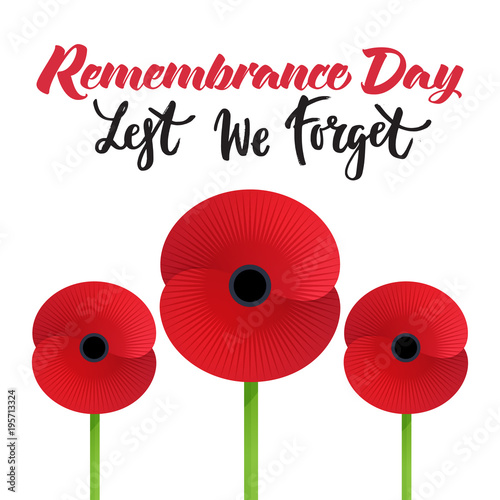 Vector illustration of a bright poppy flower. Remembrance day symbol. Lest we forget  lettering.