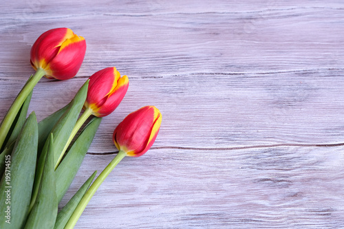 Fototapeta Naklejka Na Ścianę i Meble -  Three colored tulips on a wooden table
