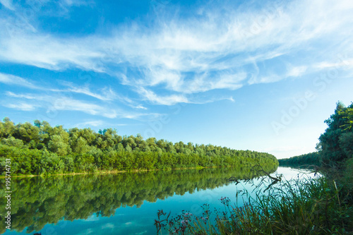Fototapeta Naklejka Na Ścianę i Meble -  Riverbank of calm Danube river with green trees in spring or summer and deep blue sky with clouds at the setting sun. Ukraine