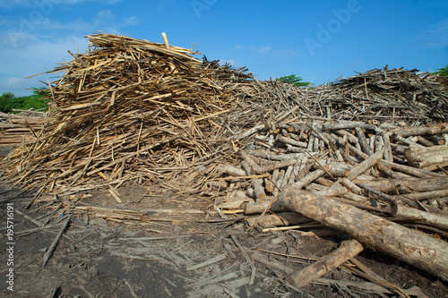 Stack of slab teak wood