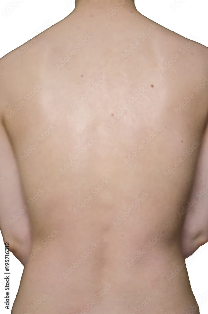 Spine on a white background Spine on a white background