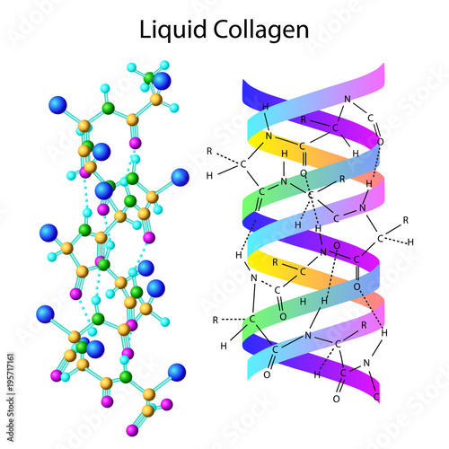 Vector illustration with liqid collagen formula isolated