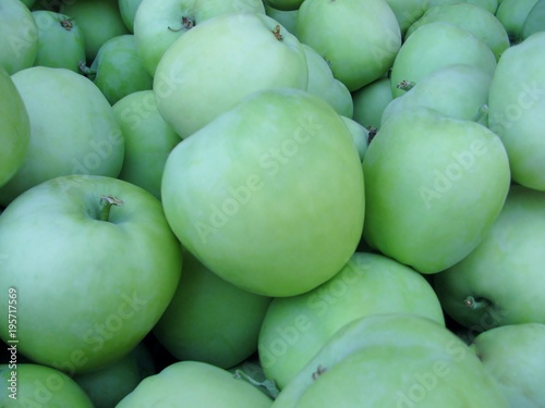 Tableau sur toile Lodi early-season apples, best used for cooking