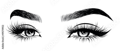 Foto Illustration of woman's sexy luxurious eye with perfectly shaped eyebrows and full lashes