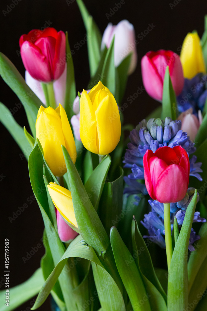 Bouquet of tulips and hyacinths