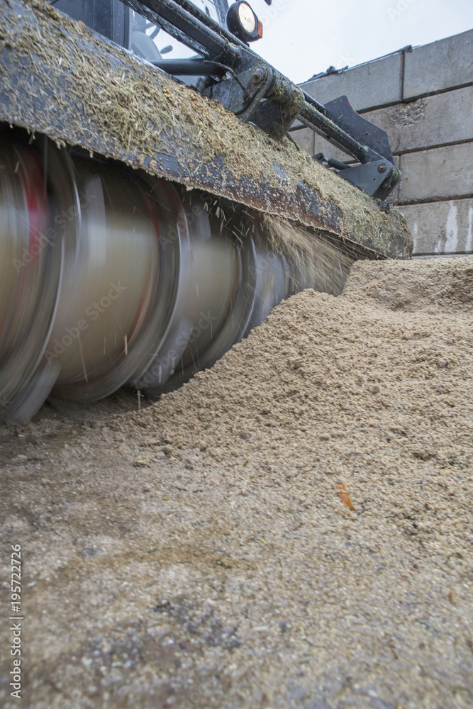 Cattle fodder. Silage. Trioliet machine. Farming Cattle fodder. Silage. Trioliet machine. Farming