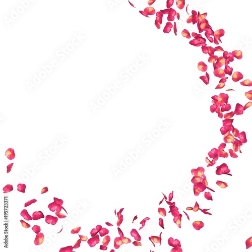 Red rose petals fly in a circle. The center free space for Your photos or text