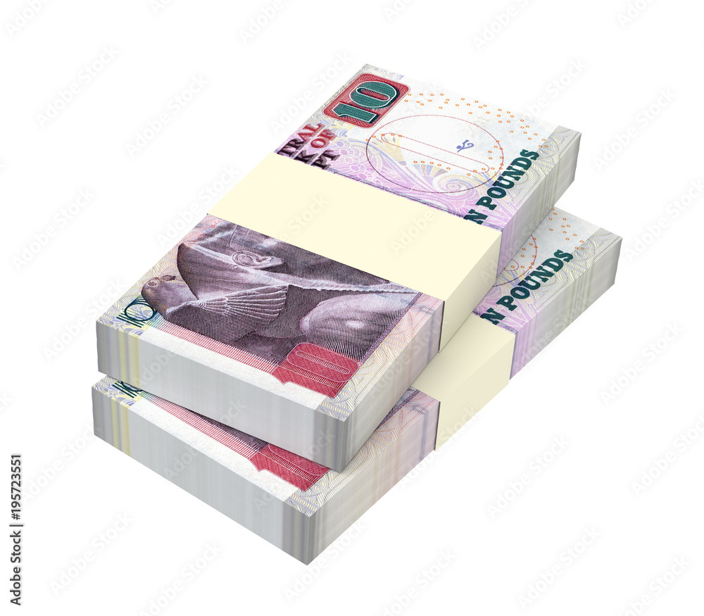Egyptian pounds isolated on white with clipping path. 3D illustration. Egyptian pounds isolated on white with clipping path. 3D illustration.