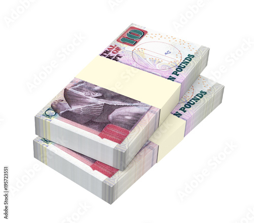 Egyptian pounds isolated on white with clipping path. 3D illustration.