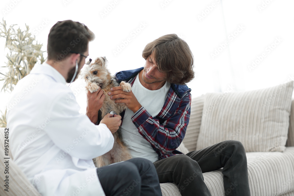 Loving owner with a Yorkshire terrier in the office of a veterinarian