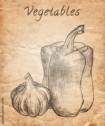 Hand drawn pencil vegetables on old paper background