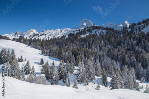 Grand Bornand