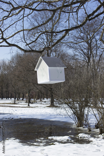 House-feeder hanging from a tree © olga_kruglova