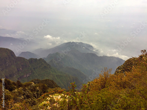 The Golden Top cloud sea in Mount Emei    Sichuan  China